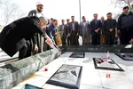 دانشگاه
