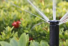 سیستم آبیاری قطره‌ای در دانشگاه آیت‌الله بروجردی(ره) اجرا شد
