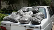 زوج همدانی که در حال انتقال ۷ کیلو مواد مخدر بودند دستگیر شدند