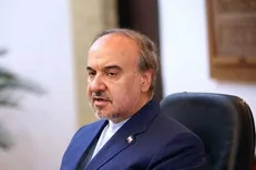 سلطانی‌فر: سرخابی‌ها به زودی وارد بازار سرمایه می‌شوند