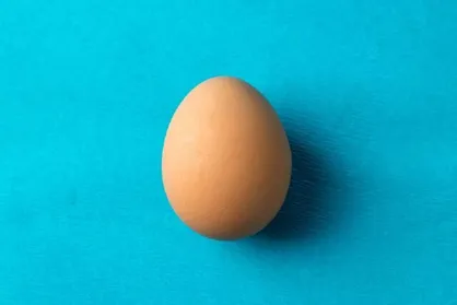 نقش تخم&zwnj;مرغ در سلامت مغز