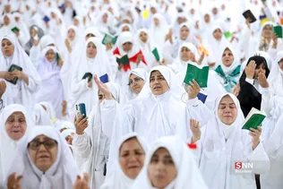 دبب