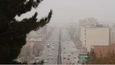 کارگروه اضطرار آلودگی هوا استان تهران: مهدهای کودک‌ها و پیش‌دبستانی‌های استان تهران تعطیل شدند / طرح زوج و فرد از درب منزل اجرا می‌شود / فروش مجوز طرح ترافیک ممنوع است