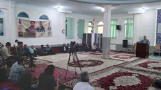 پرند منطقه‌ای رها شده با دردهای پرشمار+فیلم و عکس