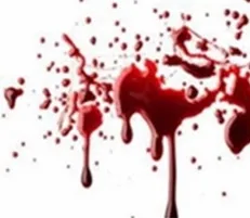حیوانات ولگرد جسد کودک ر‌ها شده در بیابان را قطعه قطعه کردند