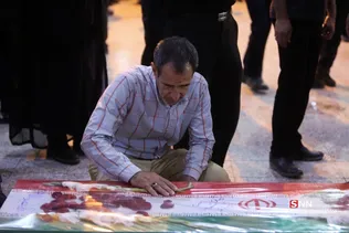 دبب