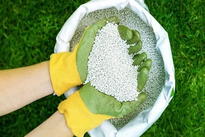 توزیع ۵۱۶ تن کود دی&zwnj;آمونیوم فسفات برای کشت پاییزه در کهگیلویه و بویراحمد