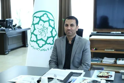 طبق اساس نامه جدید مشکل عرضه گوجه فرنگی رفع می&zwnj;شود