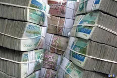 رمه‌ افسارگسیخته