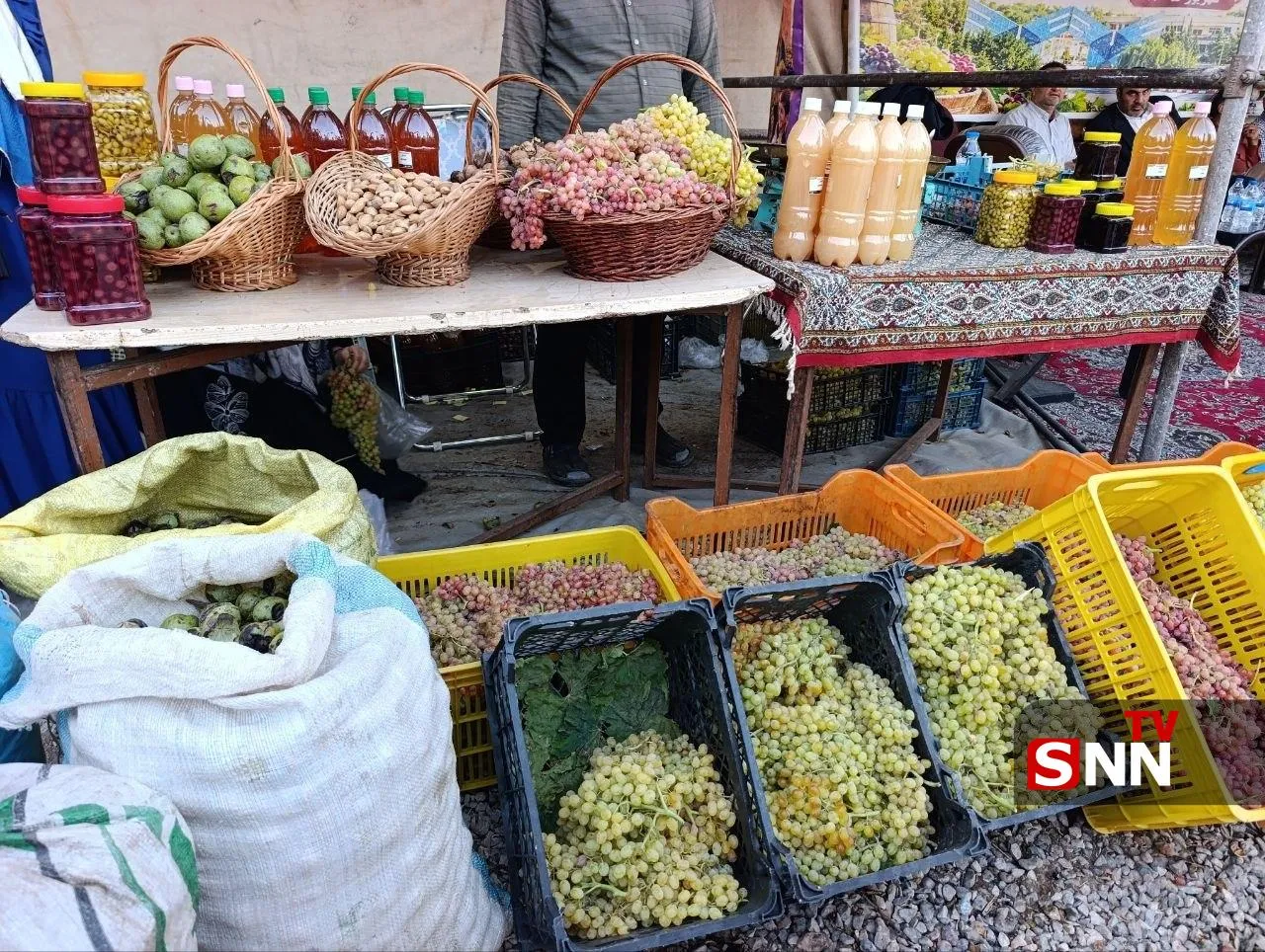 پایتخت تات‌زبانان جهان، میزبان سی‌امین جشنواره ملی انگور قزوین؛ تاکستان، روایت‌گر پیوند کشاورزی و فرهنگ