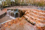 fall