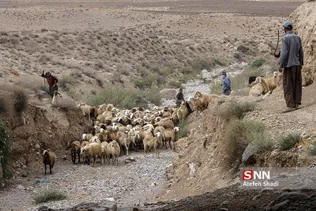 واکسن ذام