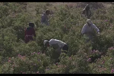 مستند «ایران‌زاد» به کاشان و اصفهان رسید