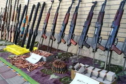 یک محموله سلاح، مهمات و تاکسیدرمی حیات&zwnj;وحش کشف و توقیف شد