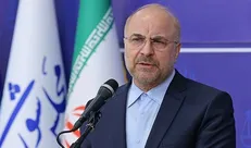 پیام تسلیت رئیس مجلس در پی درگذشت مادر شهید ژاپنی
