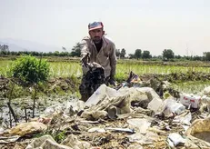 متخلفین هر غیر ممکنی را ممکن کرده‌اند/ کشاورزی شیراز به تسخیر فاضلاب شهری و صنعتی درآمده