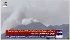 در پی آتش سوزی گسترده در جنگل های مالاگا در اسپانیا مردم در برخی از شهرهای اطراف خانه ها را تخلیه کردند