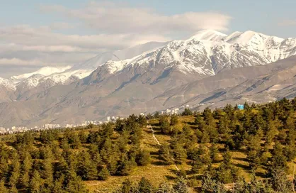 ۲۵۰۰ هکتار از کمربند سبز تهران به بهره&zwnj;برداری رسید