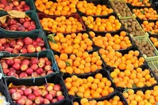 مخالفت وزارت جهاد کشاورزی با واردات سیب و پرتقال توسط وزارت صنعت + سند