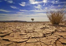 قزوین برای پنجمین سال متوالی با بحران خشکسالی دست و پنجه نرم می‌کند