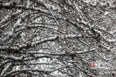 سوز سرما ادامه دارد/ پیش‌بینی بارش برای مناطق مختلف ایران