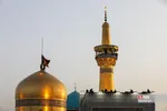 صضثضصثصض