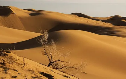 ۱۵ میلیون هکتار از بیابان&zwnj;های کشور منشأ گرد و غبار هستند
