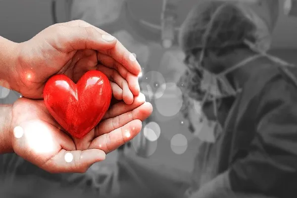 ثبت ۱۹ مورد اهدای عضو در اردبیل