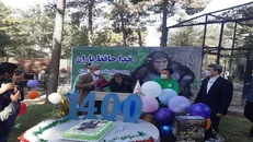 شامپانزه پارک ارم طی مراسمی بدرقه کنیا شد