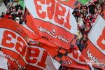 دبب