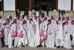 زیسرب