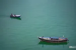 بریس