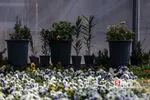 استقبال از بهار