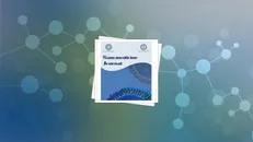 شماره زمستانی مجله Nanomedicine دانشگاه علوم پزشکی مشهد منتشر شد