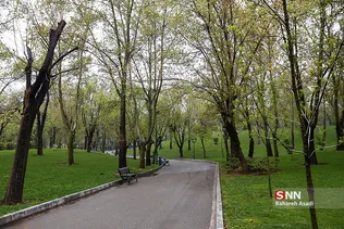 هوای بارانی تهران
