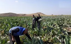 عادی شدن زندگی در مرز ترکیه و سوریه با حضور ارتش سوریه