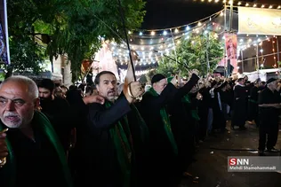 دبب