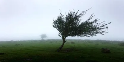 پیش&zwnj;بینی وزش باد گرم در گیلان