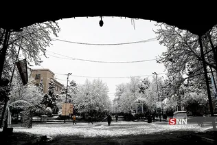 ریسش