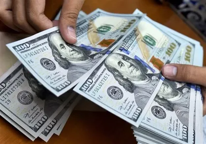 پتروشیمی&zwnj;ها ۳۰ درصد تعهدات ارزی خود را بازنگرداندند