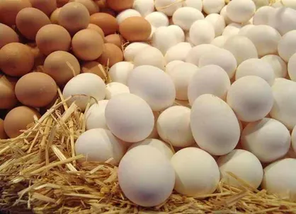 ثبات بازار مرغ و تخم&zwnj;مرغ کرج با وجود افزایش مقطعی تقاضا