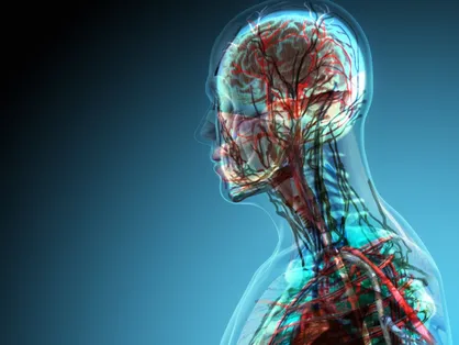 واکنش افراطی سیستم ایمنی بدن در برابر عفونت کنترل می&zwnj;شود/ نانوذرات در خدمت مقابله با یکی از عوامل مرگ&zwnj;ومیر در جهان