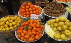 اظهارات عجیب مسئول وزارت جهاد کشاورزی؛ برجام و تحریم میوه را گران کرد
