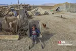 عشایر