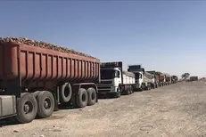 فعالیت کامیون داران بوشهر طبق روال معمول ادامه دارد