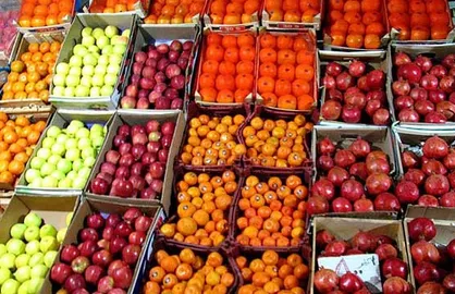 توزیع هوشمند میوه تنظیم بازاری شب عید تا درب منازل ۱۵ درصد زیر قیمت بازار
