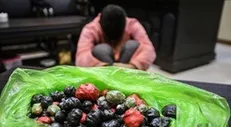 تمهیدات پلیس تهران برای مراسم چهارشنبه سوری/ برخورد با فروشندگان مواد محترقه خطرناک