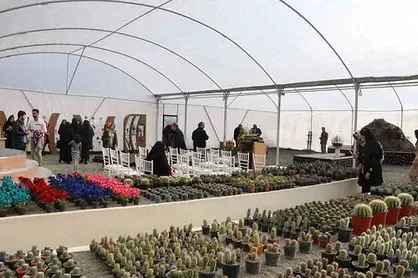 طراحی و احداث گلخانه گل&zwnj;های زینتی و گلدانی دانشگاه رازی به همت دانشجویان صورت گرفته است