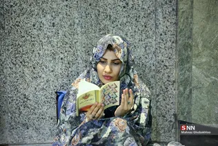 دبب