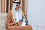 دبب